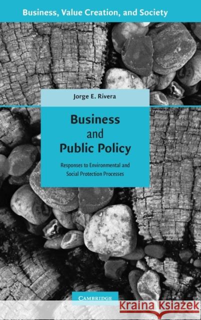 Business and Public Policy Rivera, Jorge E. 9780521897815