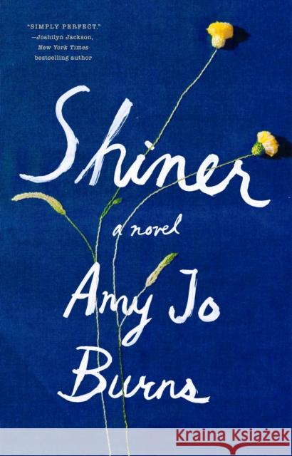 Shiner Amy Jo Burns 9780525533658 Riverhead Books