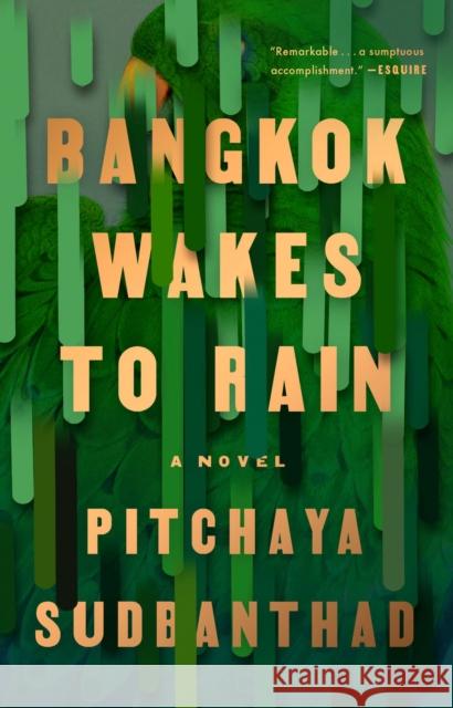 Bangkok Wakes to Rain Pitchaya Sudbanthad 9780525534778 Riverhead Books