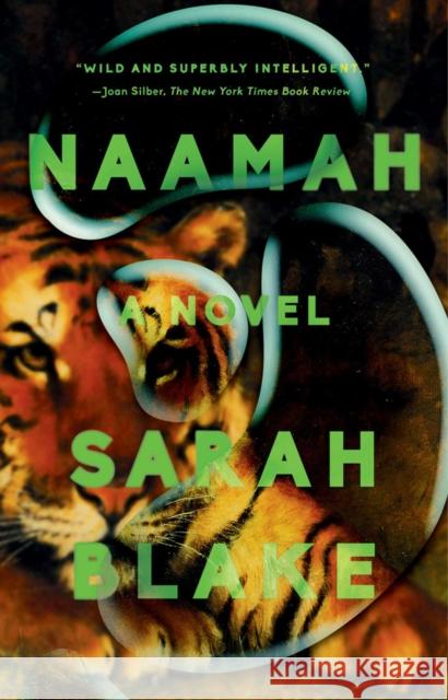 Naamah: A Novel Sarah Blake 9780525536345