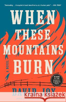 When These Mountains Burn David Joy 9780525536901 Penguin Publishing Group