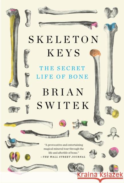 Skeleton Keys: The Secret Life of Bone Brian Switek 9780525539124 Riverhead Books