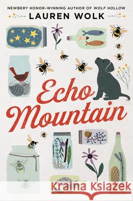 Echo Mountain Lauren Wolk 9780525555568