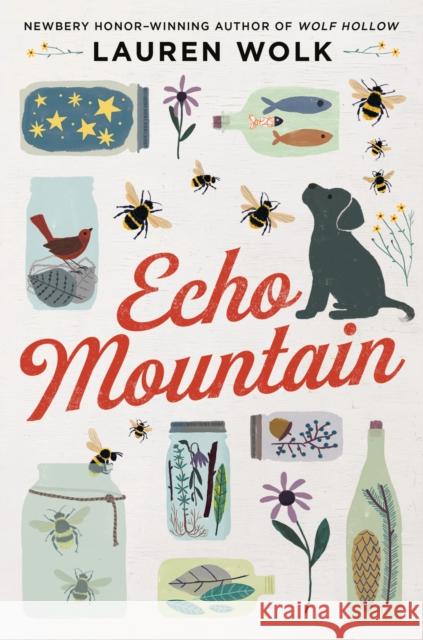 Echo Mountain Lauren Wolk 9780525555582