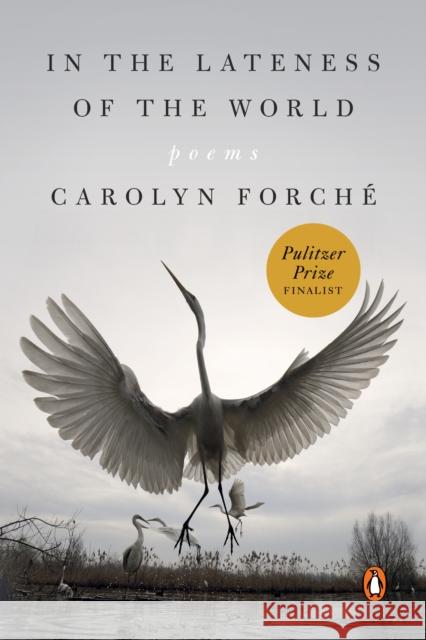 In the Lateness of the World: Poems Carolyn Forche 9780525560425