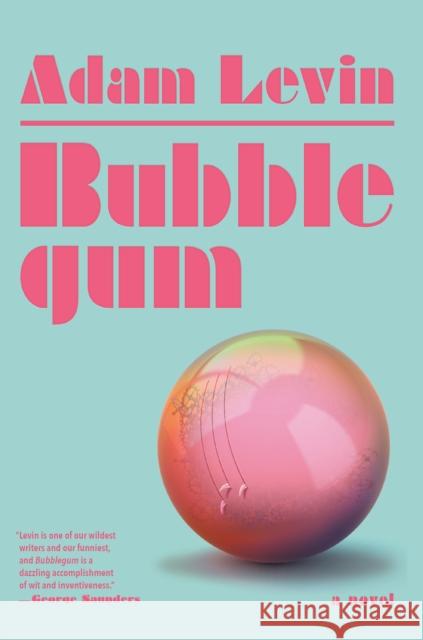 Bubblegum Adam Levin 9780525566489 Anchor Books