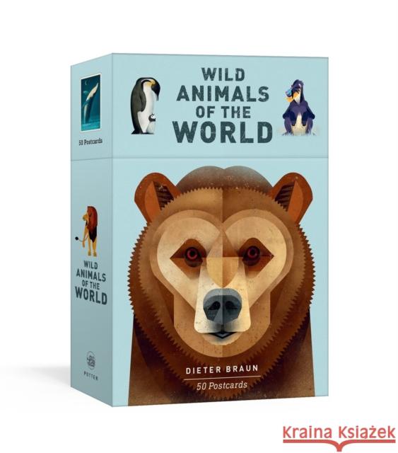 Wild Animals of the World: 50 Postcards Dieter Braun 9780525577058