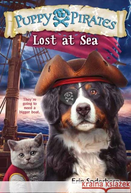 Puppy Pirates #7: Lost at Sea Erin Soderberg 9780525579236