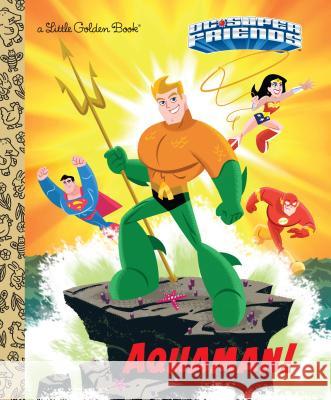 Aquaman! (DC Super Friends) Frank Berrios Golden Books 9780525582243 Golden Books