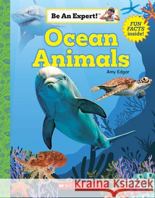Ocean Animals (Be an Expert!) (Paperback) Edgar, Amy 9780531136782 C. Press/F. Watts Trade