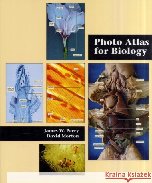 Photo Atlas for Biology David Morton Perry                                    James W. Perry 9780534235567 Thomson Brooks/Cole