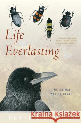 Life Everlasting: The Animal Way of Death Bernd Heinrich 9780544002265 Mariner Books