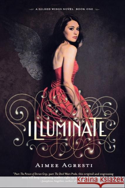Illuminate Aimee Agresti 9780544022225 Graphia Books
