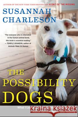 The Possibility Dogs: What a Handful of 