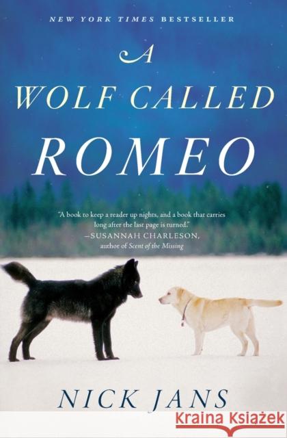 A Wolf Called Romeo Nick Jans 9780544228092 Mariner Books
