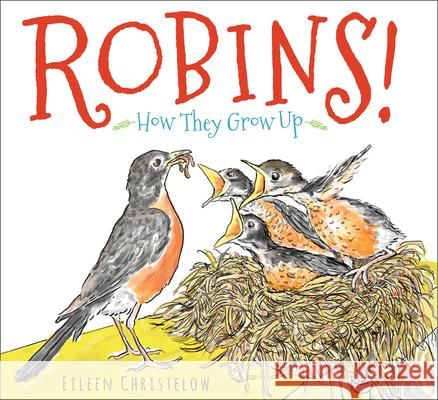 Robins!: How They Grow Up Eileen Christelow 9780544442894 Clarion Books