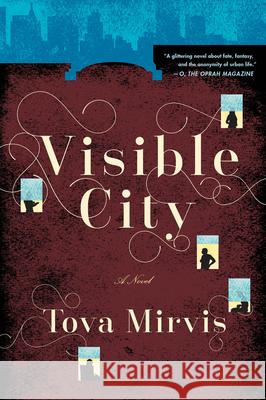 Visible City Tova Mirvis 9780544483880 Mariner Books