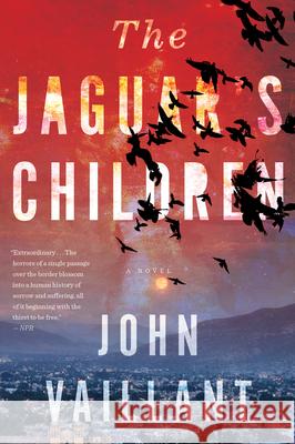 The Jaguar's Children John Vaillant 9780544570221 Mariner Books