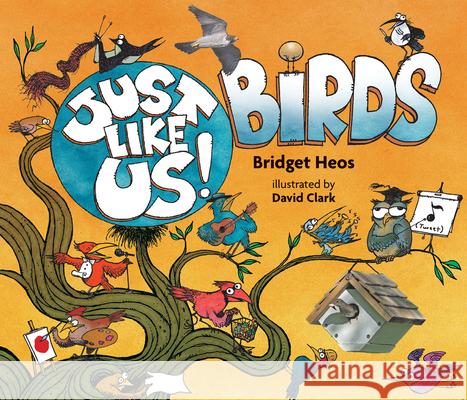 Just Like Us! Birds Bridget Heos David Clark 9780544570443 Houghton Mifflin