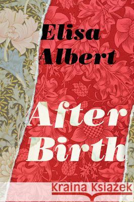 After Birth Albert, Elisa 9780544582910 Mariner Books