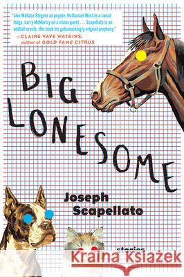 Big Lonesome Joseph Scapellato 9780544769809 Mariner Books