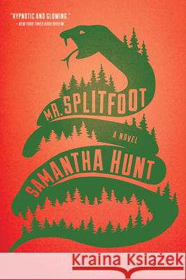 Mr. Splitfoot Samantha Hunt 9780544811812 Mariner Books