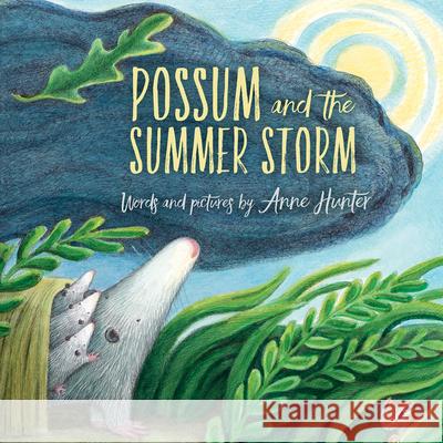 Possum and the Summer Storm Anne Hunter 9780544898912 Houghton Mifflin