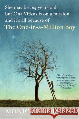 The One-In-A-Million Boy Monica Wood 9780544947214
