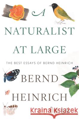 A Naturalist at Large: The Best Essays of Bernd Heinrich Bernd Heinrich 9780544986831