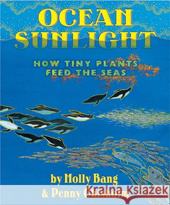 Ocean Sunlight: How Tiny Plants Feed the Seas Molly Bang Penny Chisholm 9780545273220 Blue Sky Press (AZ)