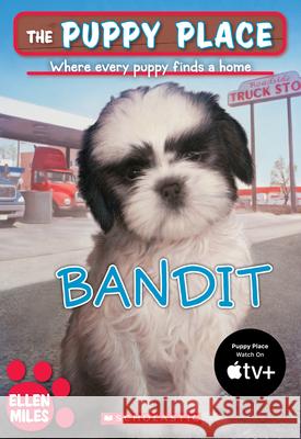 Bandit Ellen Miles 9780545348348 Scholastic Paperbacks