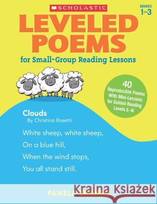 Leveled Poems for Small-Group Reading Lessons: 40 Reproducible Poems with Mini-Lessons for Guided Reading Levels E-N Chanko, Pamela 9780545593632 Scholastic Teaching Resources