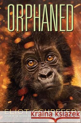 Orphaned (Ape Quartet #4): Volume 4 Schrefer, Eliot 9780545655057 Scholastic Press