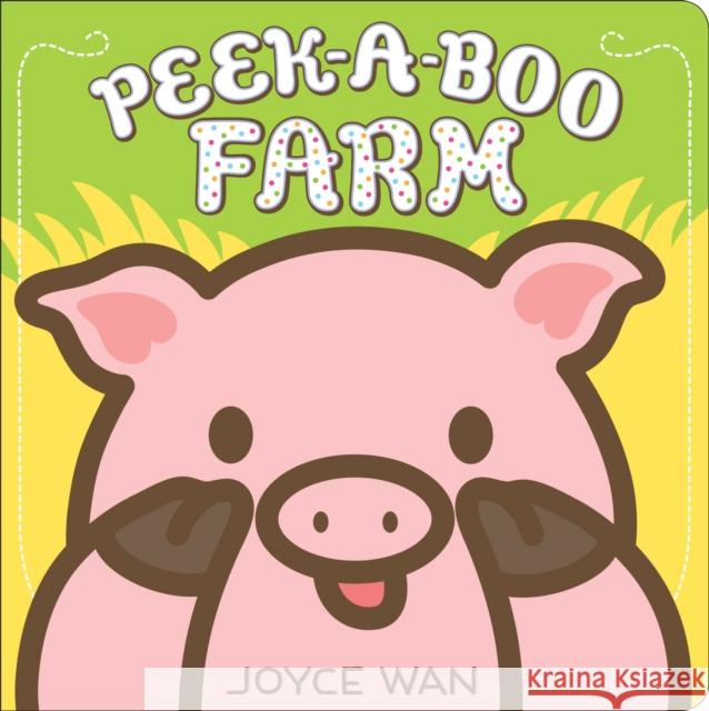 Peek-A-Boo Farm Joyce Wan 9780545750455 Cartwheel Books