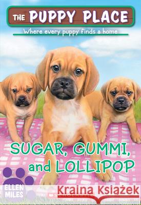 Sugar, Gummi and Lollipop (the Puppy Place #40) Ellen Miles 9780545857208 Scholastic Inc.