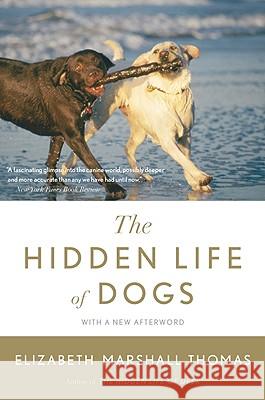 The Hidden Life of Dogs Elizabeth Marshall Thomas 9780547416854