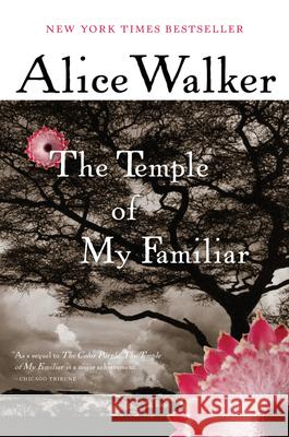 The Temple of My Familiar Alice Walker 9780547480008 Mariner Books