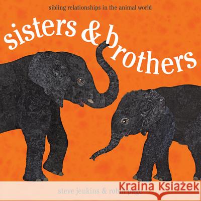 Sisters & Brothers: Sibling Relationships in the Animal World Robin Page Steve Jenkins 9780547727387 Houghton Mifflin Harcourt (HMH)