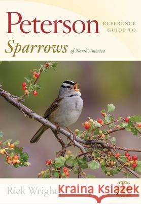 Peterson Reference Guide to Sparrows of North America Rick Wright 9780547973166