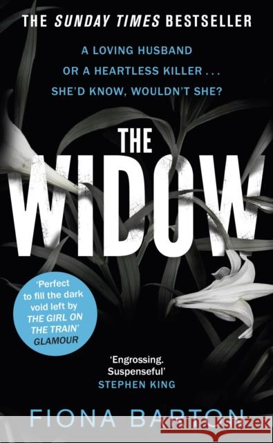 The Widow Fiona Barton 9780552173070