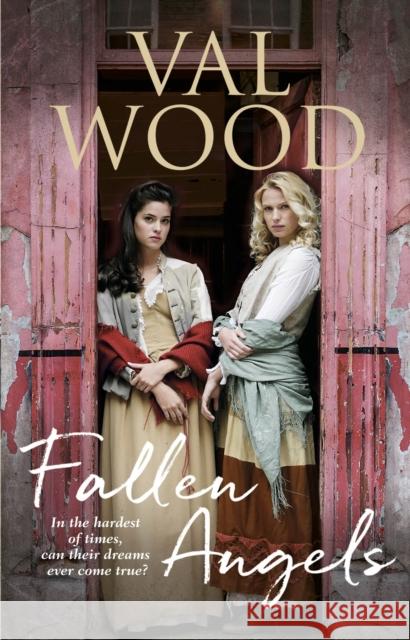 Fallen Angels Val Wood 9780552174343 