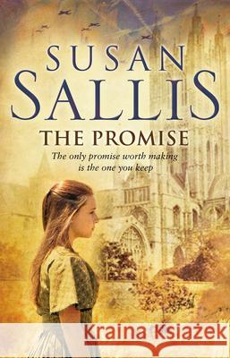 The Promise Susan Sallis 9780552174558 Transworld Publishers Ltd