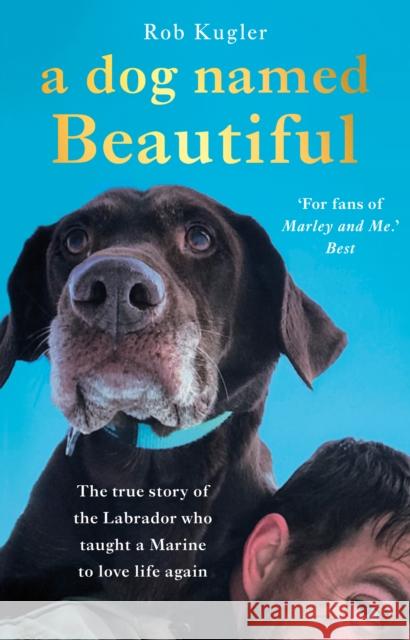 A Dog Named Beautiful: The true story of the Labrador who taught a Marine to love life again Robert Kugler 9780552174770