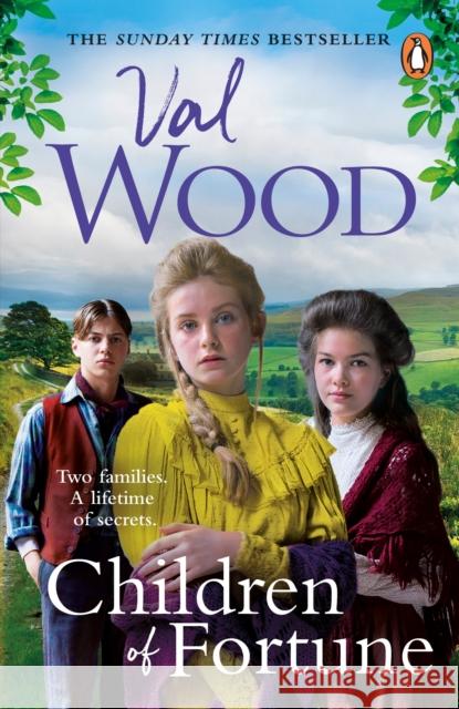 Children of Fortune: A powerful new family saga from the Sunday Times bestselling author Val Wood 9780552178914 Transworld Publishers Ltd