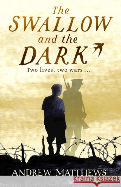The Swallow And The Dark Andrew Matthews 9780552568739