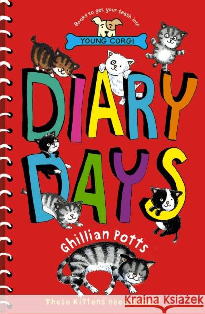 Diary Days Ghillian Potts 9780552569743