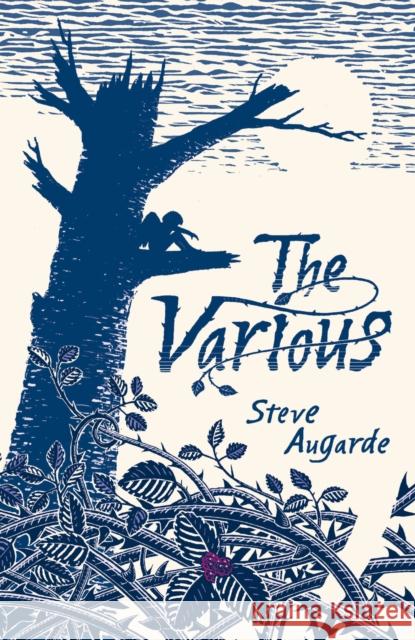 Various The Touchstone Trilogy Augarde, Steve 9780552572859