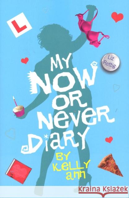 My Now or Never Diary  Rettig, Liz 9780552572880