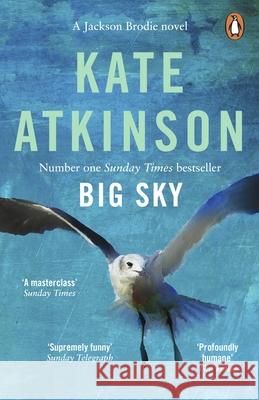 Big Sky Atkinson Kate 9780552776660 Transworld Publishers Ltd