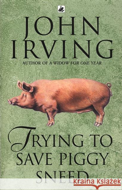 Trying To Save Piggy Sneed John Irving 9780552995733